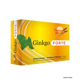  Ginkgo Forte