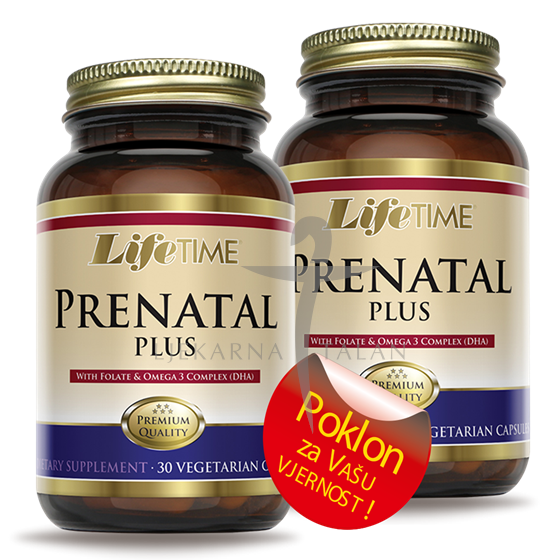 PRENATAL PLUS