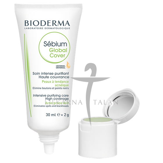 Sebium Global Cover