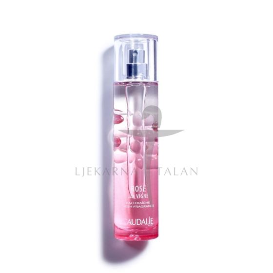 ROSE DE VIGNE miris 50ml