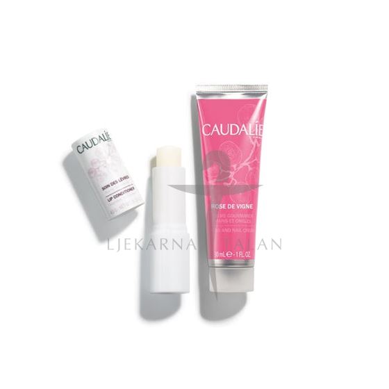 Rose de Vigne SET krema za ruke + balzam za usne
