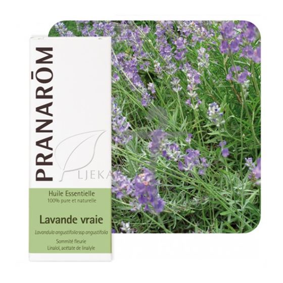 Eterično ulje LAVANDA (LAVANDULA ANGUSTIFOLIA)