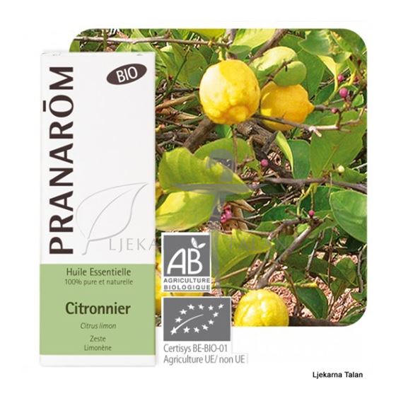 Eterično ulje Limun bio (Citrus limon)