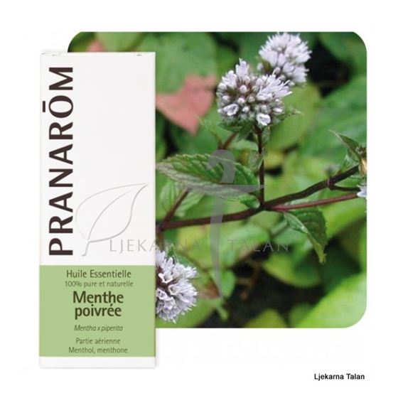 Eterično ulje Metvica paprena (Mentha X piperita)