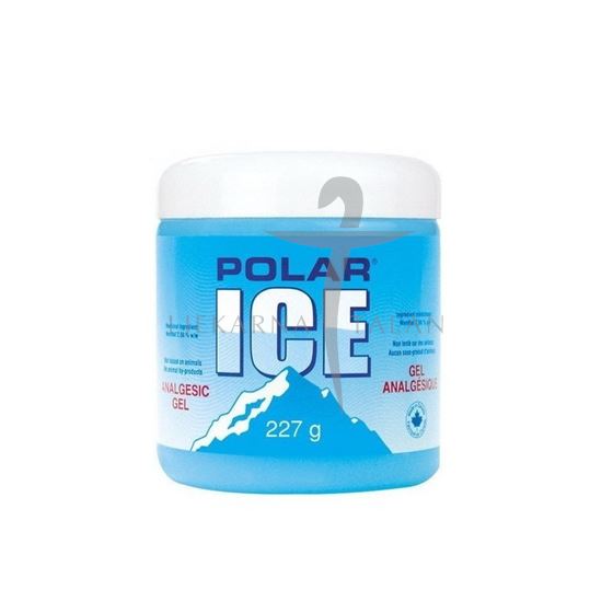 POLAR ICE gel, 227g