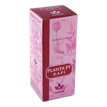 Planta PT kapi