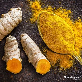 Što je Capilia Longa i zašto biste ju trebali koristiti? 