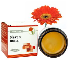  Neven mast