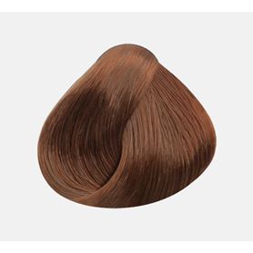  - biljna boja za kosu br. 10 (svijetlo zlatno kestenjasta)