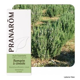 Eterično ulje Ružmarin cineol (Rosmarinus officinalis)